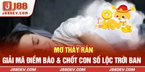 Mơ Thấy Rắn | Giải Mã Điềm Báo & Chốt Con Số Lộc Trời Ban